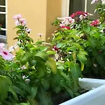 Liberty House Bed & Breakfast