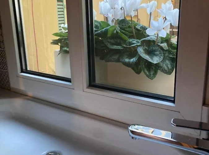 Liberty House بولونيا