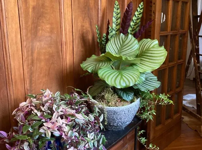 Bed & Breakfast Liberty House Bologna