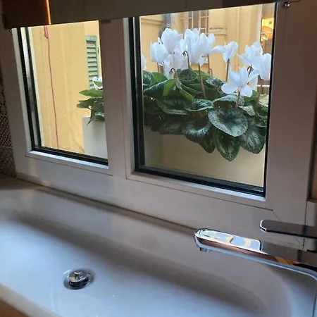 Liberty House Bolonia