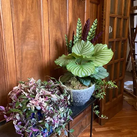 Bed & Breakfast Liberty House Bologna