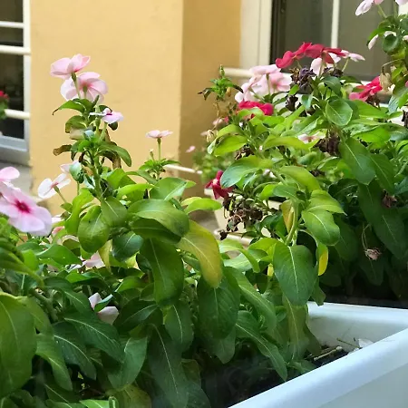 Liberty House Bed & Breakfast