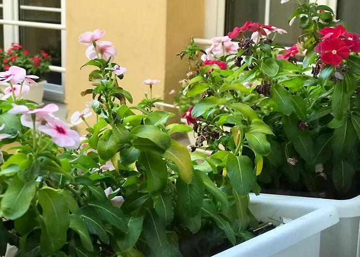 Liberty House Bed & Breakfast